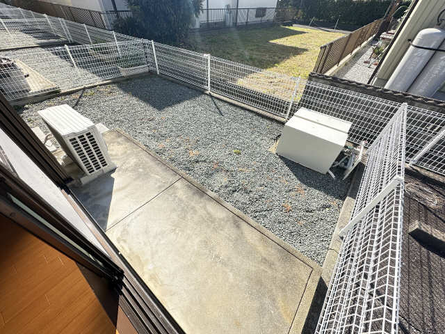 庭