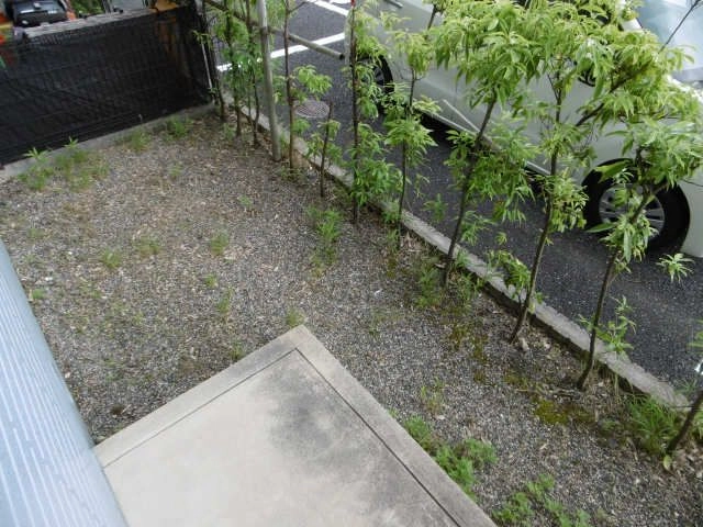 庭