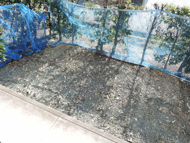 庭