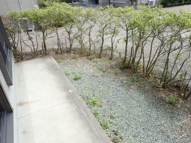 庭