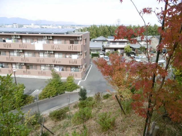 秋のひばりが丘