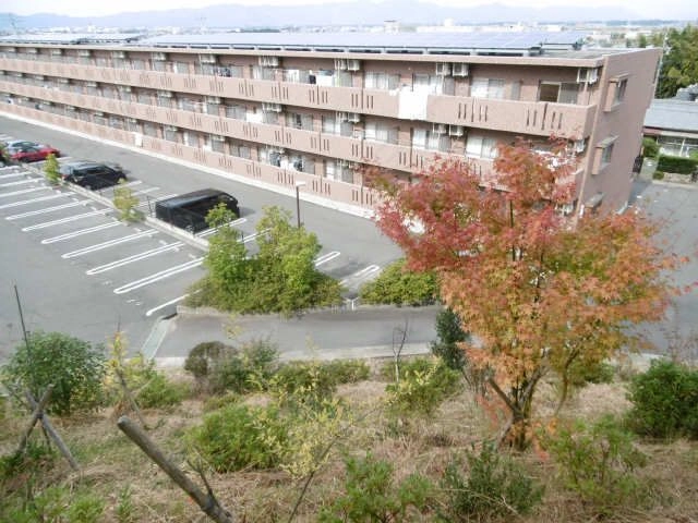 秋のひばりが丘