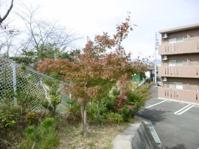 秋のひばりが丘