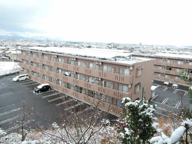 雪のセ