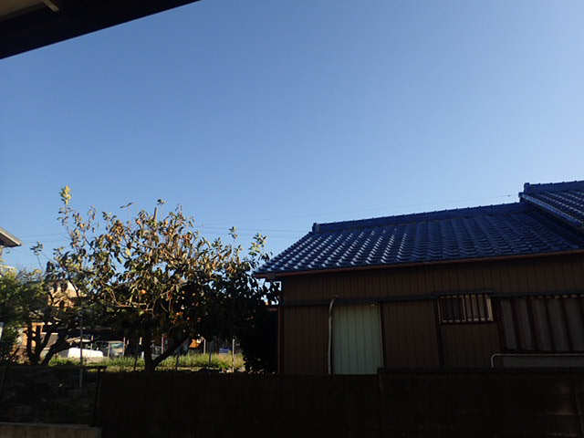 眺望