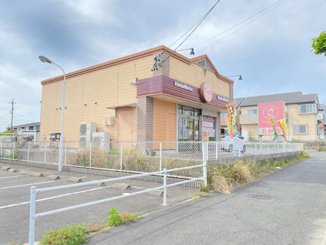 ホットモット