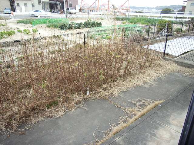 1Ｆ専用庭