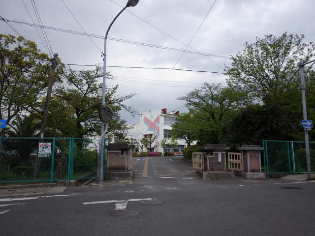 ＤｅａｒＣｏｕｒｔ　Ｈ・ＹⅡ 3階 横須賀小学校