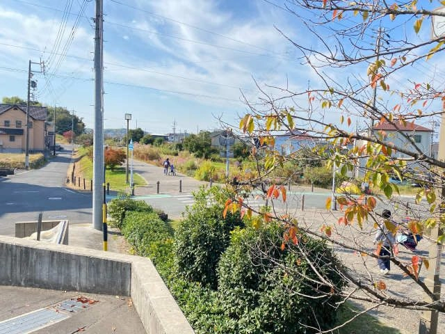 遊歩道