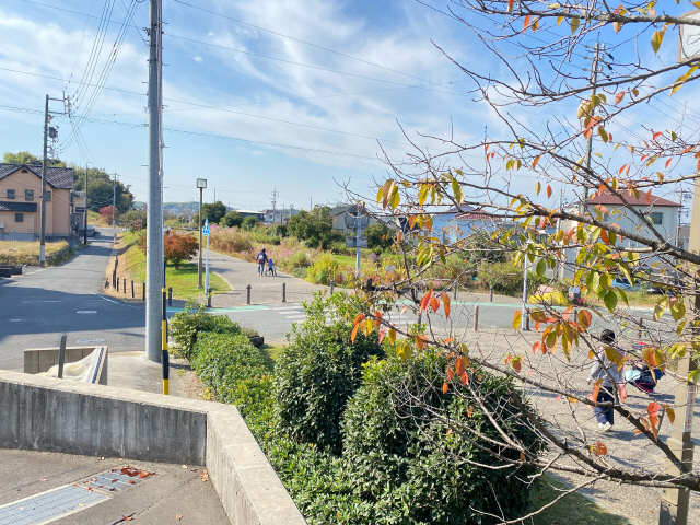 遊歩道