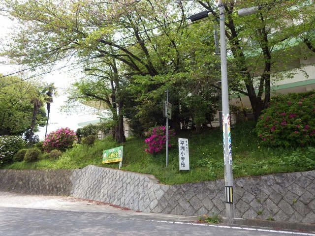 平洲小学校