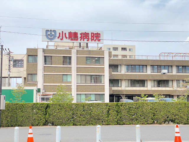 小嶋病院