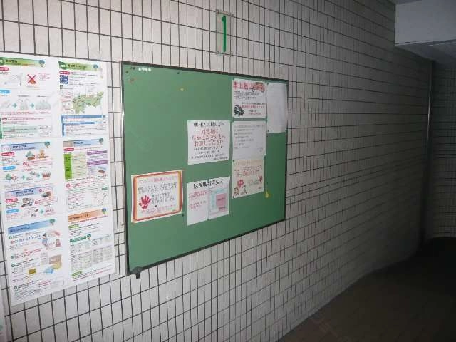 掲示板