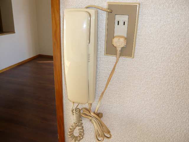 ｲﾝﾀﾎﾝ親機