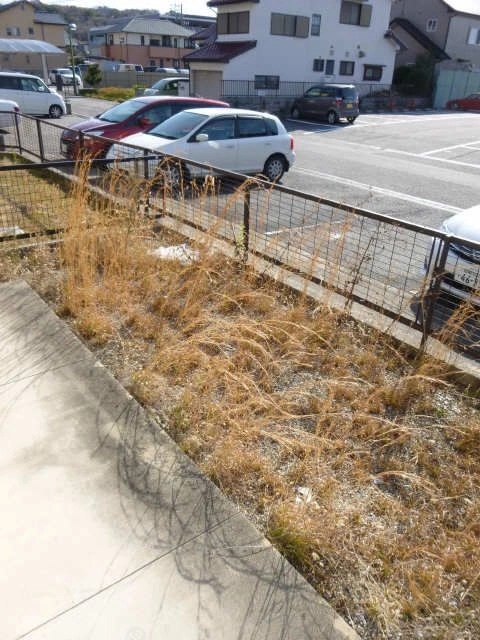 1F専用スペース