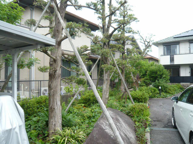 植栽