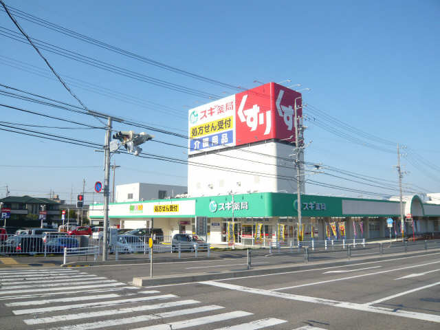 スギ薬局