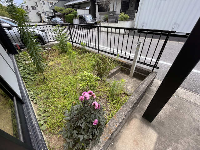 庭