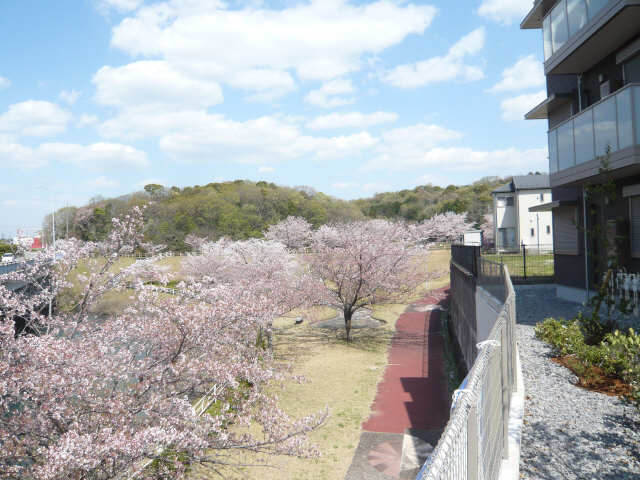 プリムローズ 1階 北側公園