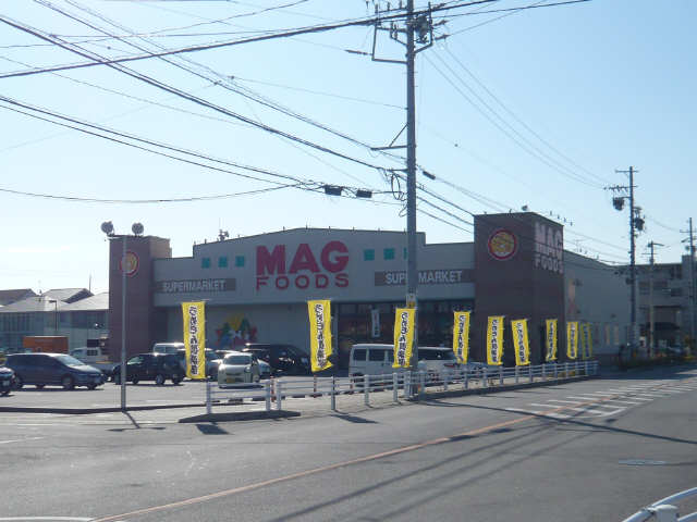 マグフーズ