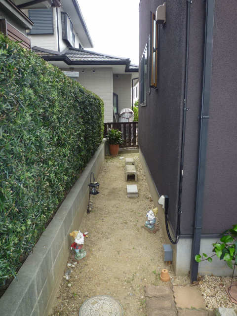 庭