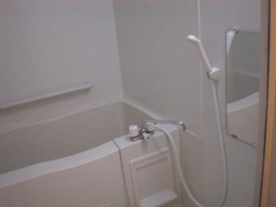 レオネクストロードスカイ 2階 浴室
