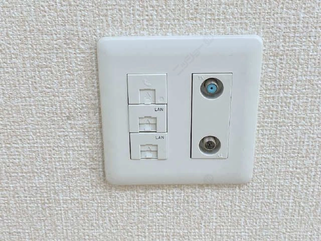 ネットコンセント