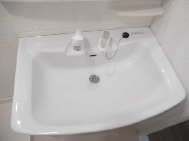 シャンプードレッサー