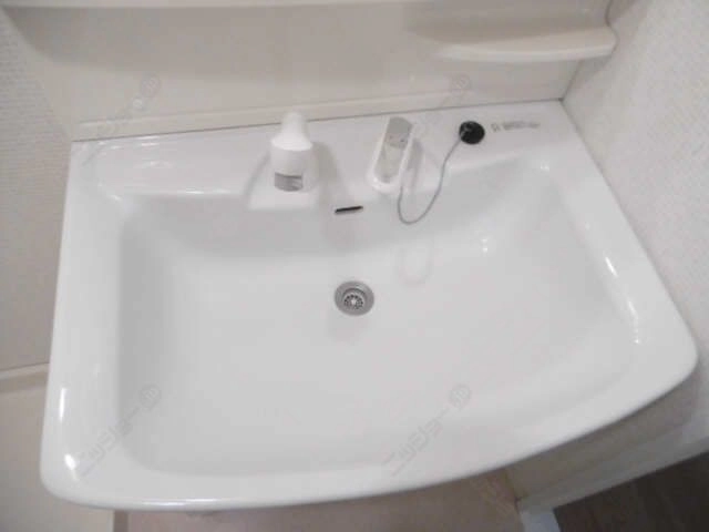 シャンプードレッサー