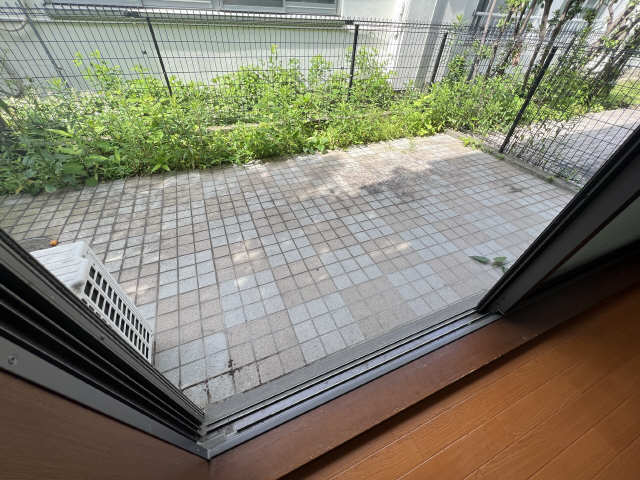 庭