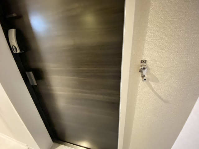 ペット用フック