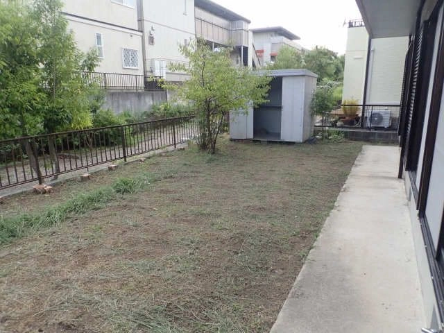 庭