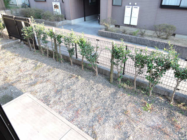 庭