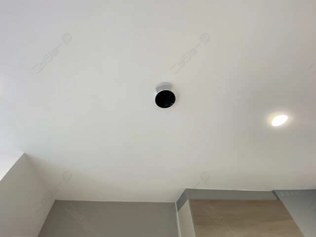 ダウンライト