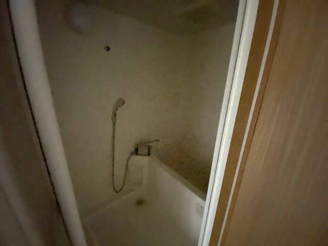 ＴＨＥ　ＲＯＯＴＳ 3階 浴室