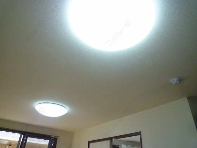 照明