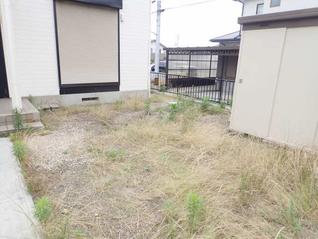 庭