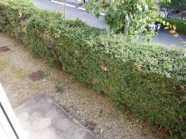 庭