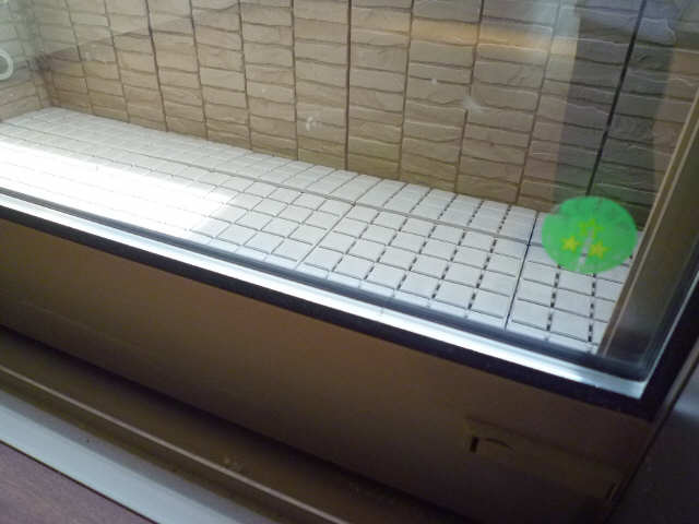 ペアガラス