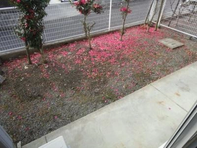 庭