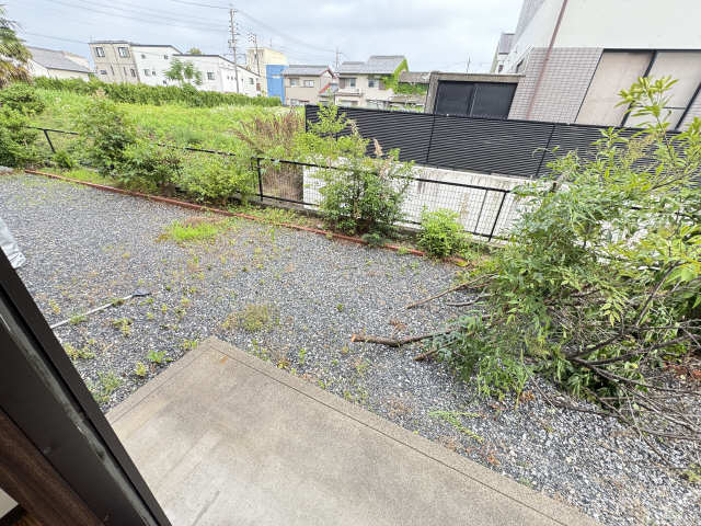 庭