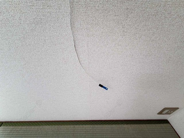 光回線