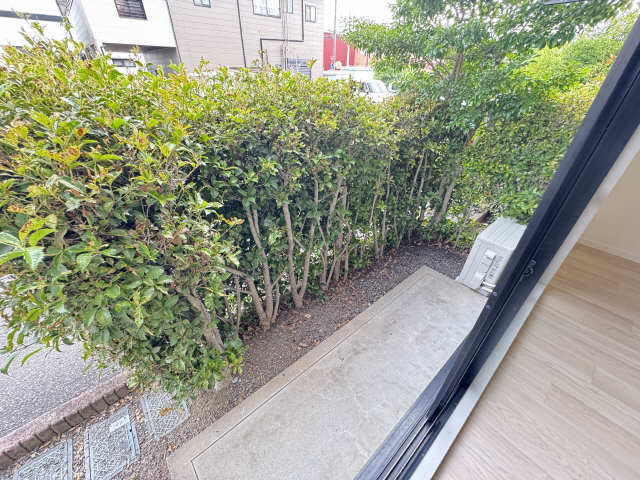 庭