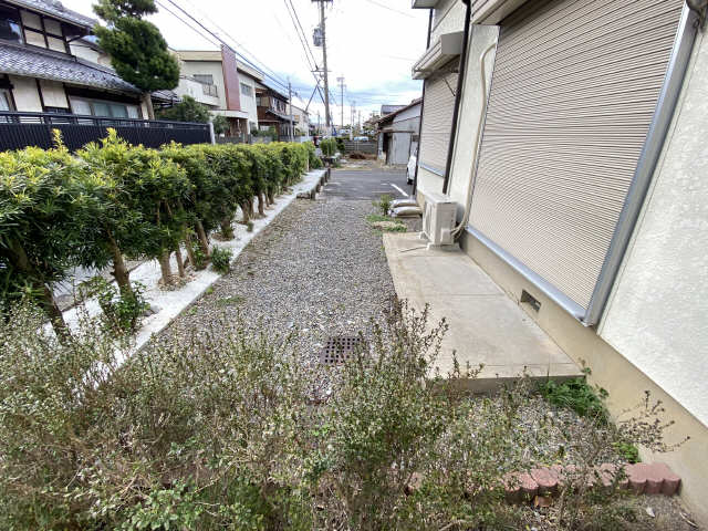 庭