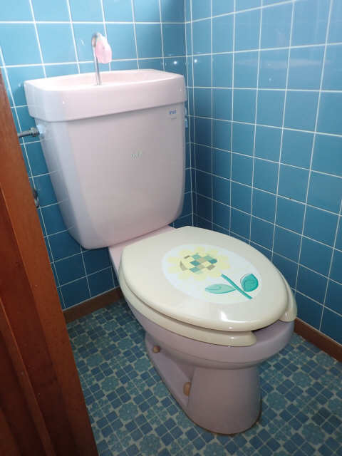 河合コーポ 2階 WC