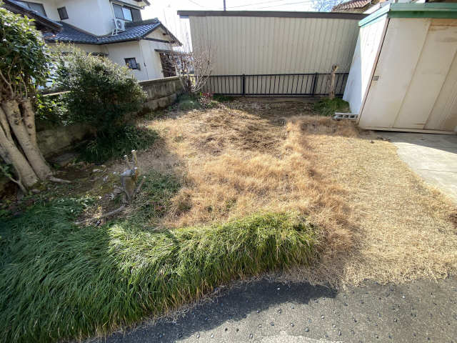 庭