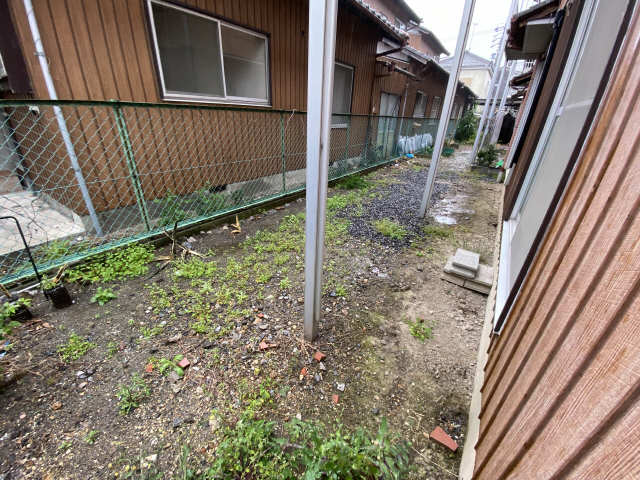 庭