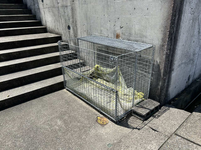ゴミ置き場