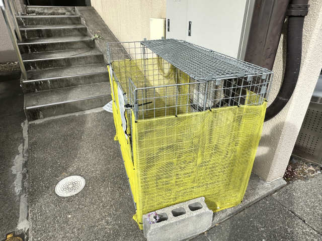 ゴミ置き場