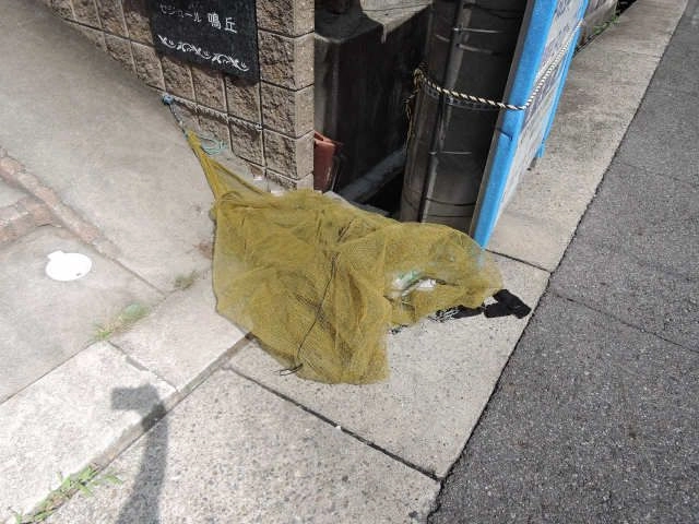共有部分